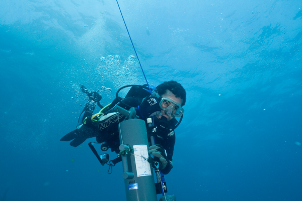 Understanding the Role of pH and Alkalinity in Aquatic Ecosystems: A Deep Dive into Water Chemistry